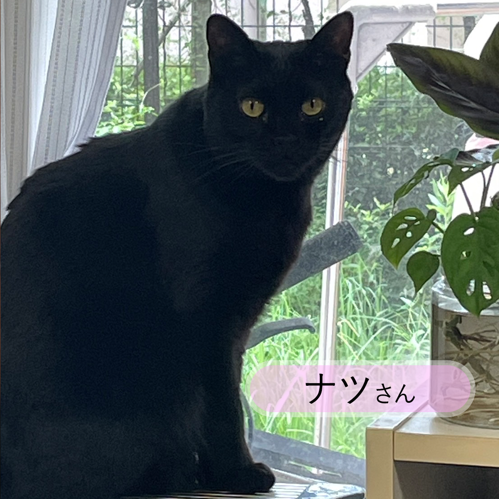 ナツさん写真